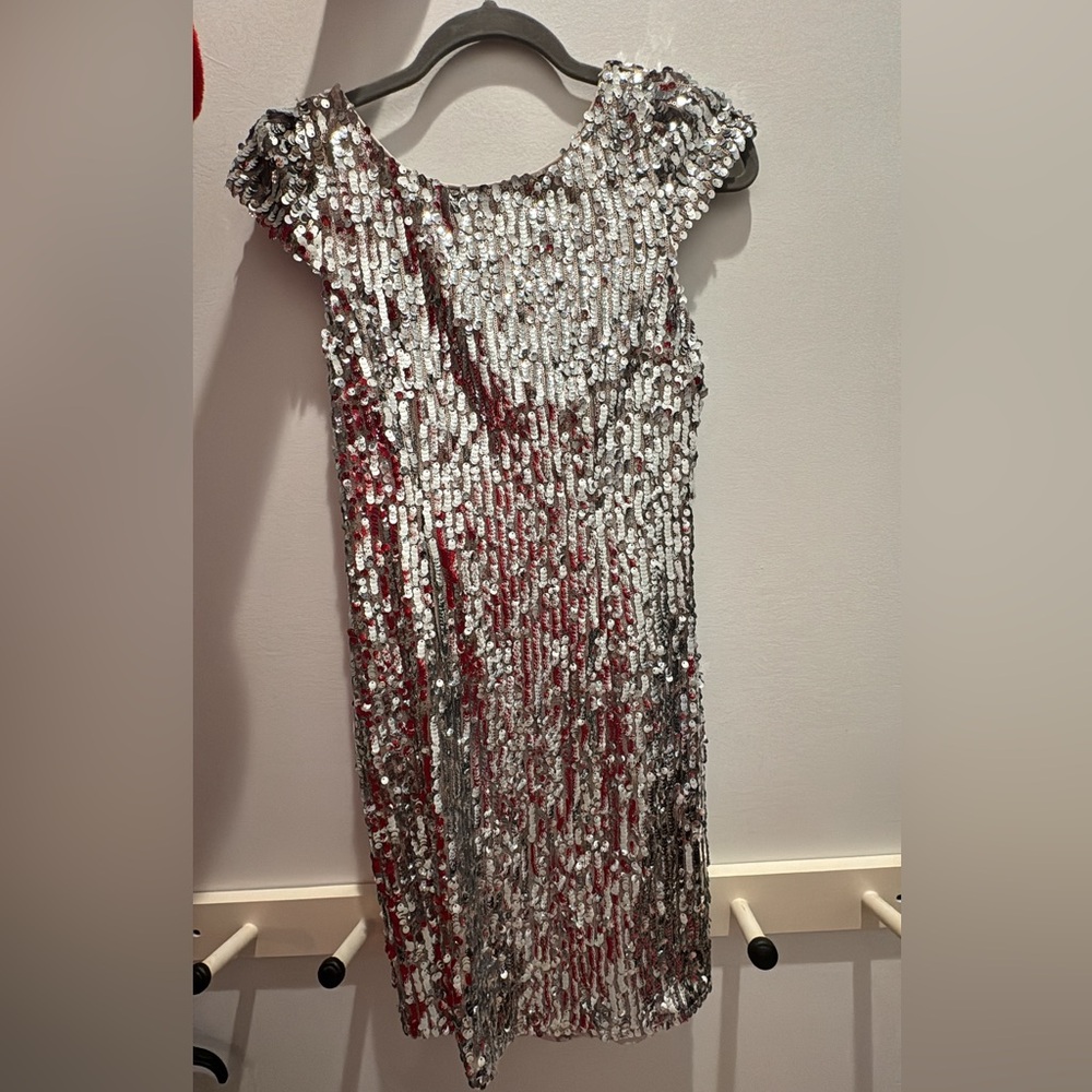 Minuet Petite Cream and Silver Dress